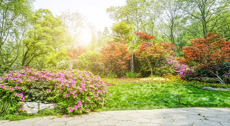 Évaluez les services inclus